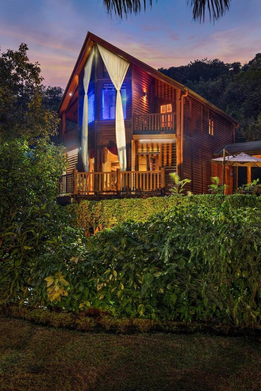 Aamby Valley City Lonavala Dış mekan fotoğraf The Treehouse at night